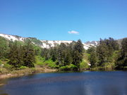 ひろママさんの大雪高原温泉の投稿写真4