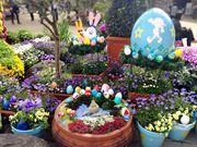 junpeさんのひらかたパークの投稿写真1