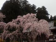 kyoさんの太山寺の投稿写真1