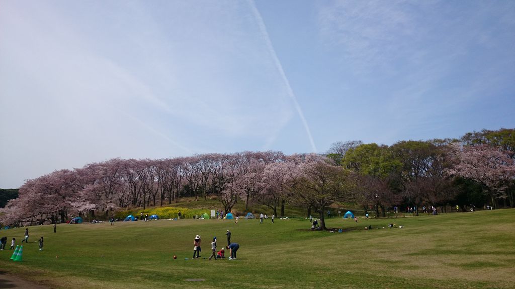 根岸森林公園