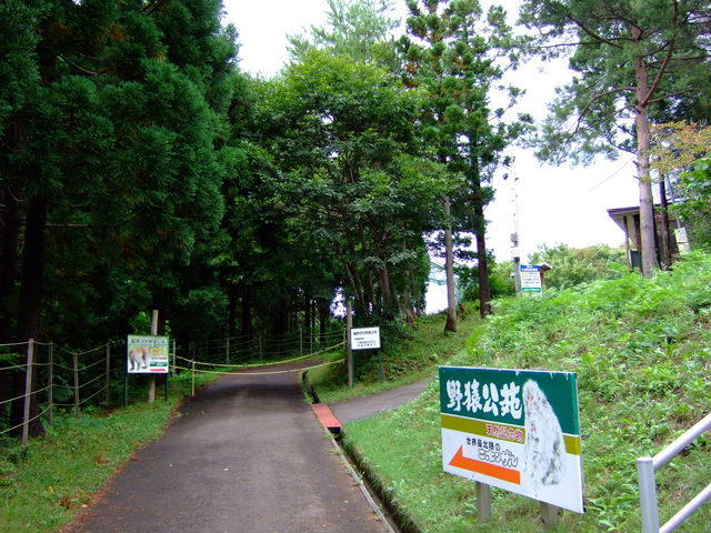 野猿公苑_野猿公苑