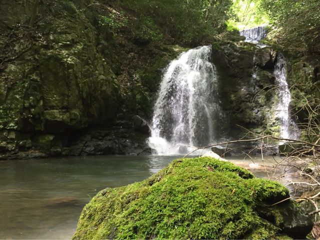 Yamaさんの山野峡の投稿写真1