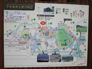 いわぴいさんの中央森林公園の投稿写真1