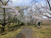 村正さんの善光寺跡の投稿写真1