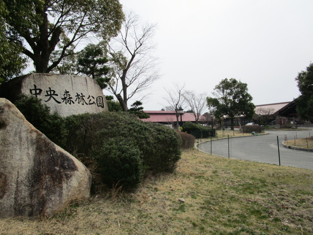 中央森林公園