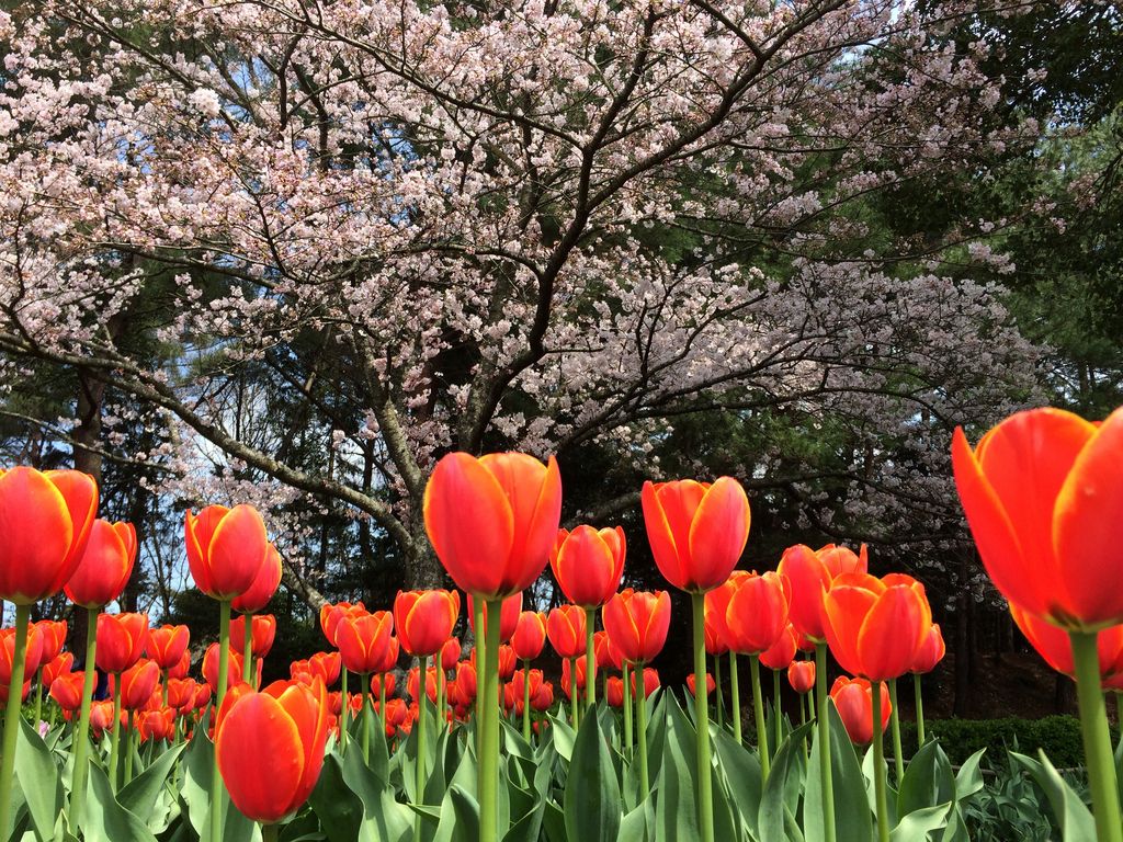公渕森林公園