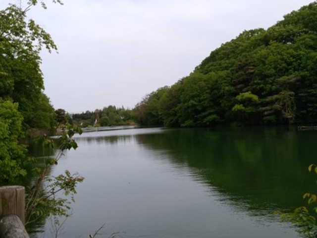 大きな池がある_けいはんな記念公園