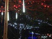 eriさんのドルフィンエンカウンター ルネッサンス リゾート オキナワの投稿写真4