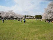 プーさんさんの泉自然公園の投稿写真2
