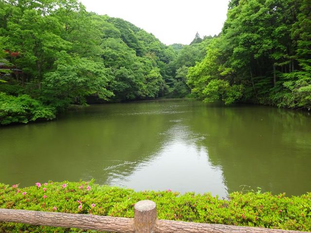 ponちゃんさんの不老池の投稿写真1