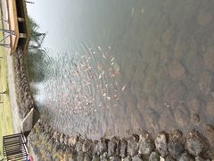 takaさんの浅間ハイランドパークへの投稿写真1