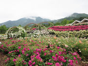 chocoさんの山梨県富士川クラフトパークの投稿写真1