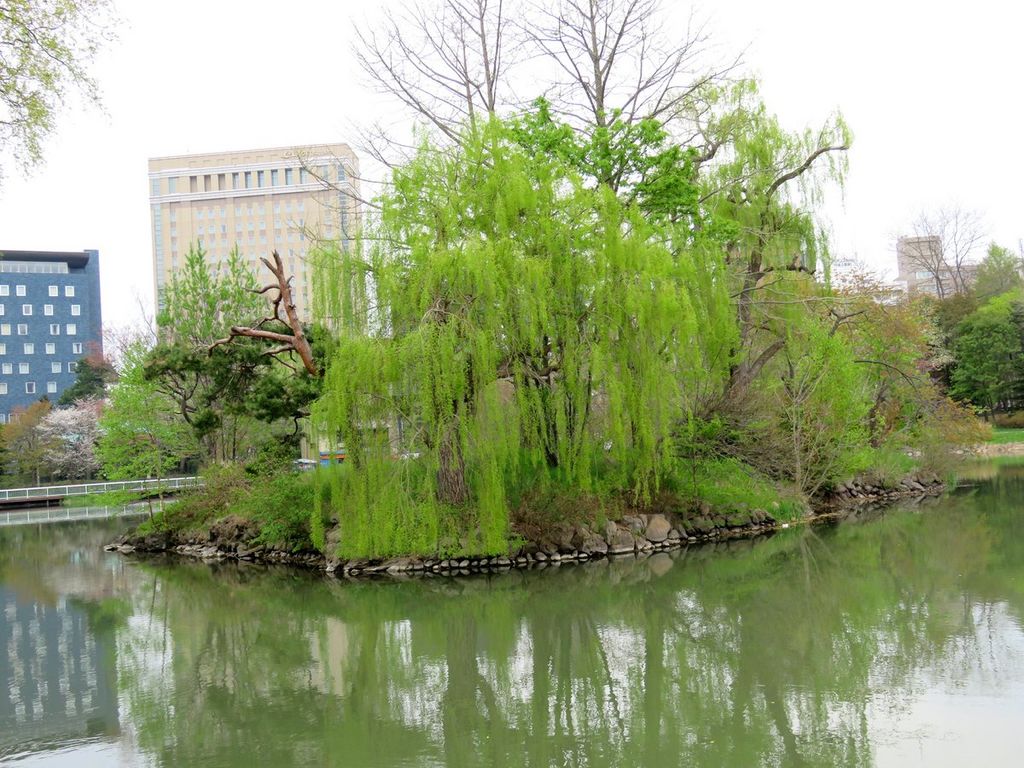 中島公園