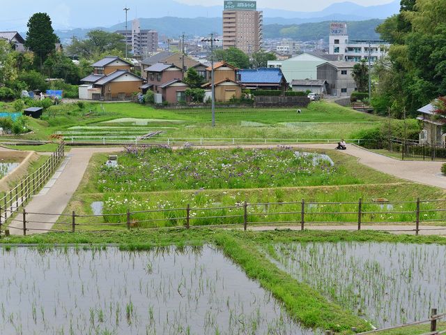 zunzuさんの織部の里公園の投稿写真3