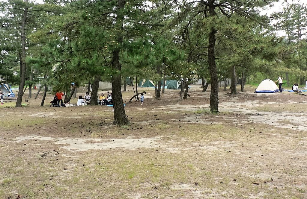 柳茶屋キャンプ場
