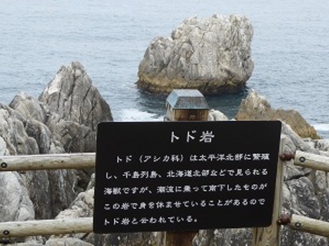宮城県・気仙沼市・唐桑半島・巨釜半蔵 (トド岩)_唐桑半島