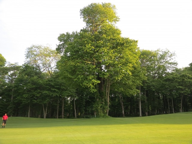 kazuさんさんの桂ゴルフ倶楽部の投稿写真1