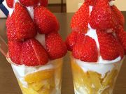 みほさんの城下町犬山の投稿写真1