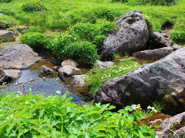 トムラウシ公園の小川、のんびり休憩スポット!_トムラウシ山