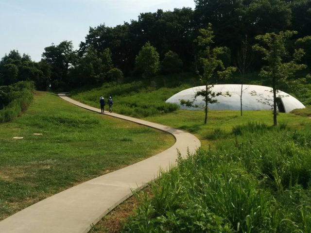 ミニ豊島美術館?_豊島美術館カフェ