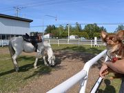どらごんごんさんの道の駅 うりまくの投稿写真2