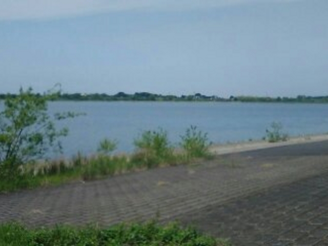 渡良瀬遊水地_渡良瀬遊水地
