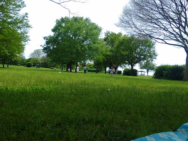 木陰にシートを敷いて、ボール遊び_渡良瀬遊水地