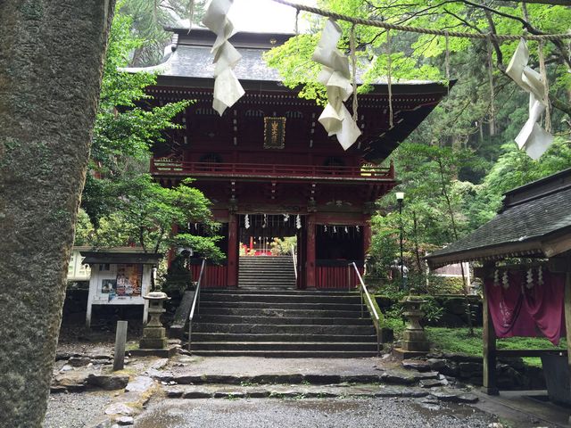 手前には鳥居があり又その手前には太鼓橋があり周囲には巨木が立っており川が流れて風情があります♪♪♪_花園神社(茨城県北茨城市)