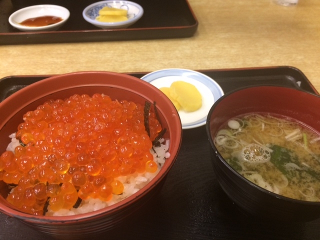 いくら丼(1,500円税抜)_まんぷく食堂