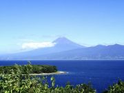 ののさんさんの大瀬崎の投稿写真1