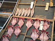 グルグルメさんの魚とやの投稿写真1