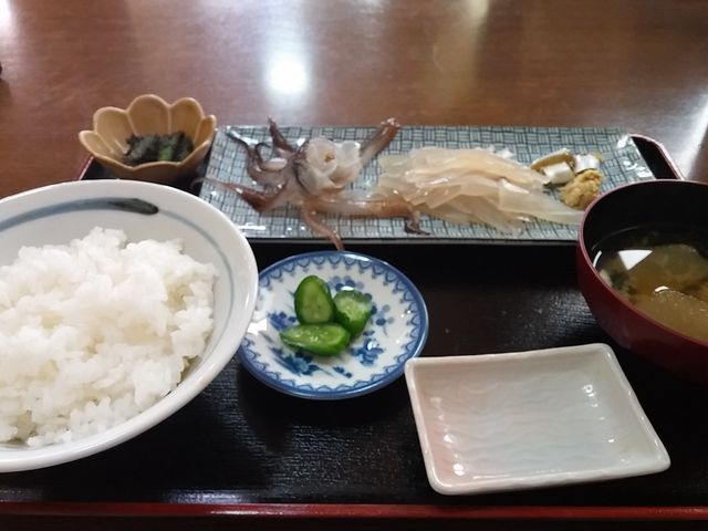 新鮮イカ刺身_あさの食堂