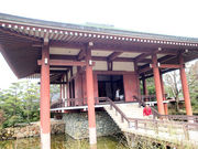 ヤマポンさんの中宮寺の投稿写真1