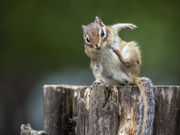 breezeさんのチミケップ湖の投稿写真1