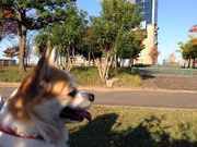 あいさんのクロスランドおやべの投稿写真2