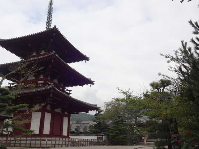法輪寺_法輪寺