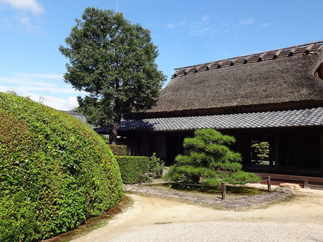 慈光院_慈光院