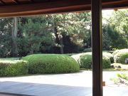 しどーさんの慈光院のサツキの投稿写真1