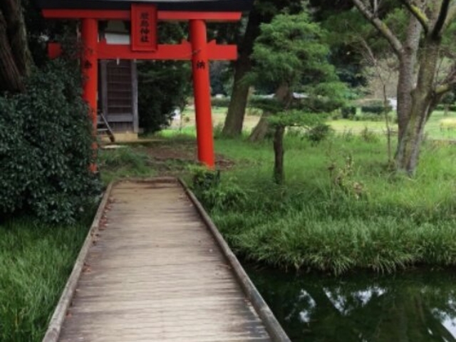 参拝をしたり、風景や野鳥の撮影に。_厳島湿生公園