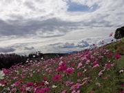 Laa-Laaさんの太陽の丘えんがる公園「虹のひろば」の投稿写真3