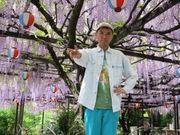 キャロットクラブ国際線旅客部さんの林泉寺長藤の投稿写真2