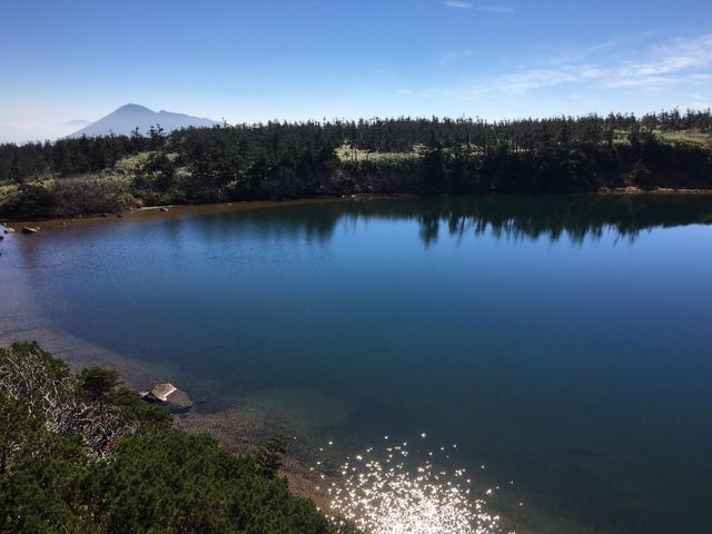 ガマ沼_八幡沼