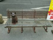 キクヤさんのいわき湯本温泉の投稿写真1