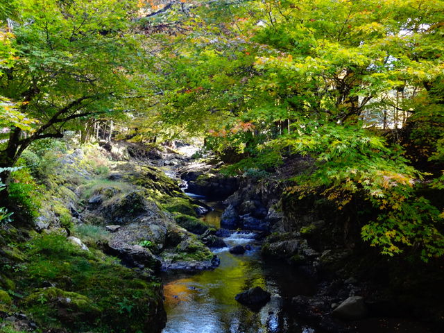 峰定寺_峰定寺