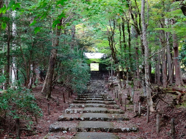 参道_常照皇寺