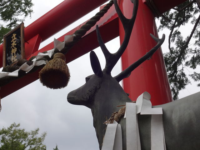 立木神社_立木神社