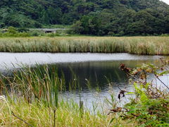 しどーさんの中池見湿地への投稿写真1