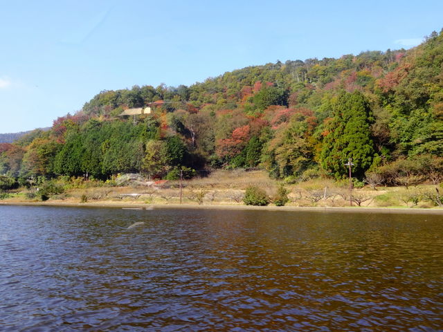 水月湖_水月湖