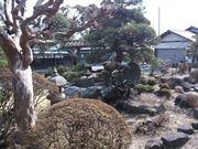 mon-tさんの野口雨情生家の投稿写真2