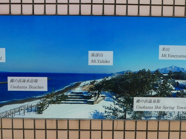 大潟区展望台_鵜の浜海水浴場